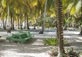 Caribbean sea with turquoise water and palms close to Saona island Royalty Free Stock Photo