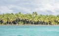 Caribbean sea with turquoise water and palms close to Saona island Royalty Free Stock Photo