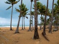 The Caribbean sea under a very cloudy sky: The calm before the storm. Puerto Rico, USA Royalty Free Stock Photo