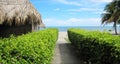 Caribbean sea, way to the beach, beach view with blue sky and crystal water and green grass and palms