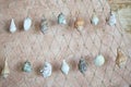 Caribbean Seashell decor, grid and seashells