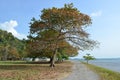 Caribbean seaside bay and walkway in the town of Chaguaramas, Trinidad and Tobago