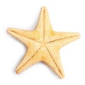 The caribbean starfish. Royalty Free Stock Photo