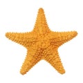 Caribbean starfish Royalty Free Stock Photo