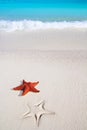 Caribbean starfish tropical sand turquoise beach Royalty Free Stock Photo