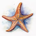 Watercolor starfish Royalty Free Stock Photo