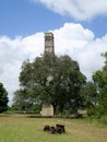 Caribbean Sugar Mill Chimney Royalty Free Stock Photo