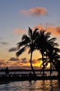 Caribbean sunrise and palm trees