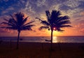 Caribbean sunrise palm trees Riviera Maya