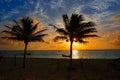 Caribbean sunrise palm trees Riviera Maya