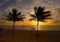 Caribbean sunrise palm trees Riviera Maya