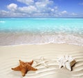 Caribbean tropical beach white sand starfish shell Royalty Free Stock Photo