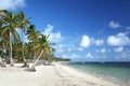 Caribbean tropical resort beach Royalty Free Stock Photo