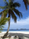 Caribbean tropical white sand beach Royalty Free Stock Photo