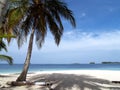 Caribbean tropical white sand beach