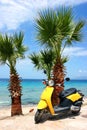 Caribbean vacation Royalty Free Stock Photo