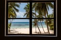 Caribbean Window: White Sand Beach & Cocoa Trees Royalty Free Stock Photo