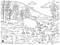 Line drawing of a caribous family in black and white for coloring vector Royalty Free Stock Photo