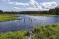 Caribou Lake - Fundy