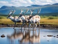 Ai Generated illustration Wildlife Concept of Caribou