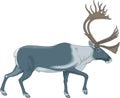 Caribou Vector Illustration