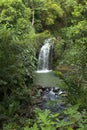 The Caribs. Grenada island. Waterfall. Royalty Free Stock Photo