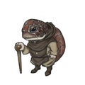 Caricature of a turtle that is a medieval monk