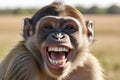 caricature of a very large toothy wide smile of a smiling monkey. A monkey with a white smile looks at the camera Royalty Free Stock Photo