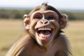 caricature of a very large toothy wide smile of a smiling monkey. A monkey with a white smile looks at the camera Royalty Free Stock Photo