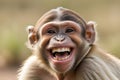caricature of a very large toothy wide smile of a smiling monkey. A monkey with a white smile looks at the camera