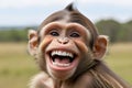 caricature of a very large toothy wide smile of a smiling monkey. A monkey with a white smile looks at the camera