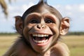 caricature of a very large toothy wide smile of a smiling monkey. A monkey with a white smile looks at the camera