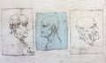 Caricatures of different people by Leonardo Da Vinci in the vintage book Disegni di Leonardo by L. Beltrami, Milan, 1904