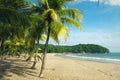 Carillo beach in Guanacaste, Costa Rica Royalty Free Stock Photo