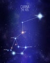 Carina the keel constellation on a starry space background Royalty Free Stock Photo