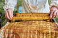 Caring adult beekeeper caring for the hive Royalty Free Stock Photo