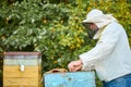 Caring adult beekeeper caring for the hive Royalty Free Stock Photo