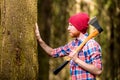 Caring bearded forester with topping touches tree