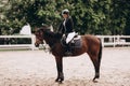 Caring equestrian. Caring professional equestrian calming his favorite horse before important horserace Royalty Free Stock Photo