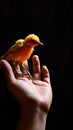 Caring hand supports a chirping canary, portraying harmony and kinship.