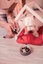 Caring owner putting some food into little bowl