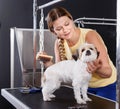 Caring smiling female grooming cute havanese dog at pet salon Royalty Free Stock Photo