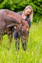 Caring woman feeding her arabian horse with snacks in the field Royalty Free Stock Photo