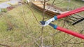 Caring for a young orchard. Spring pruning of the side branches of the fruit trees of the pear and apple tree with garden shears. Royalty Free Stock Photo