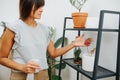 Caring young woman touching leaf of a potted plant, amased with it`s color