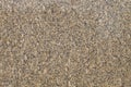 Carioca Gold Granite Royalty Free Stock Photo