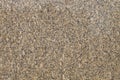 Carioca Gold Granite