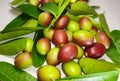 Carissa carandas, Carunda, Karonda seeds ripe pink or red colorful, tropical citrus karanda or koromcha fruit, Karandaor carunda.