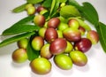 Carissa carandas, Carunda, Karonda seeds ripe pink or red colorful, tropical citrus karanda or koromcha fruit, Karandaor carunda.