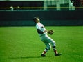 Carl Yastrzemski Boston Red Sox Royalty Free Stock Photo